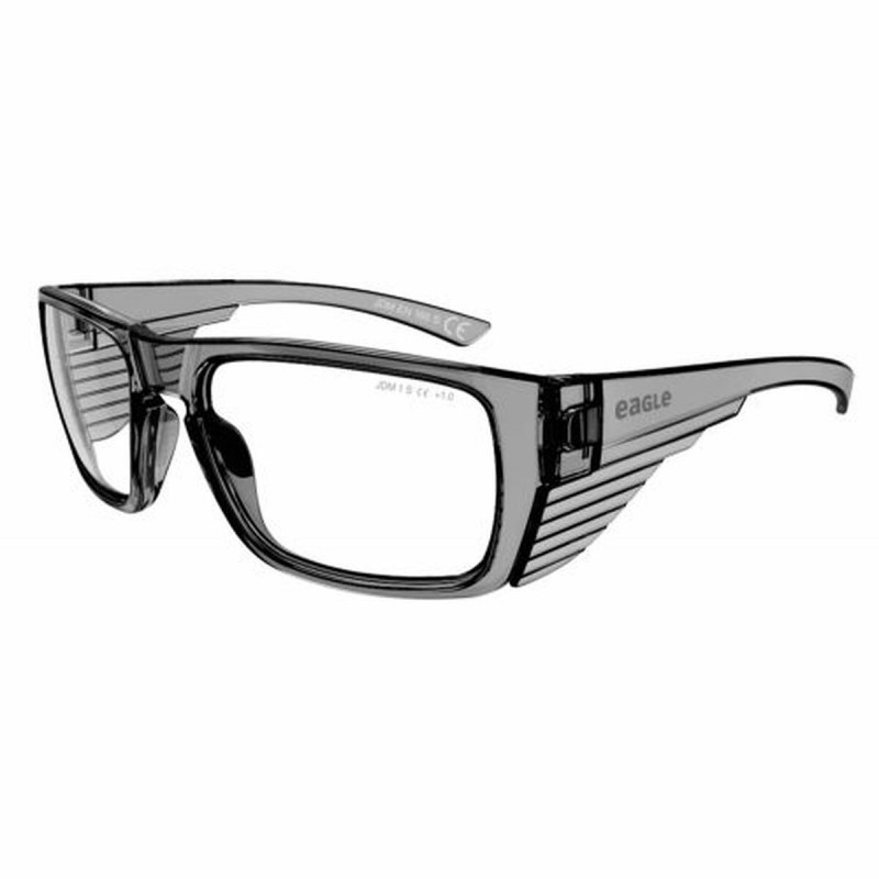 Safety glasses Eagle Tracer Grey Transparent Crystal Plastic + 2,5