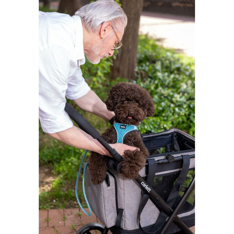 Carro de Compras Carlett CUBE P RUBY Vermelho