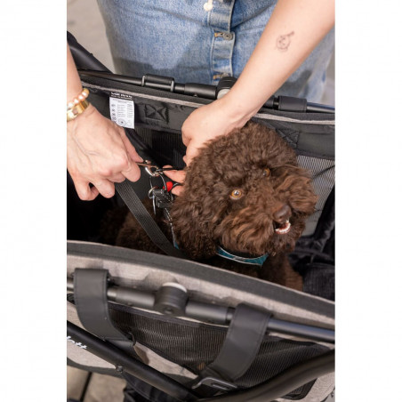 Carro de Compras Carlett CUBE P RUBY Vermelho