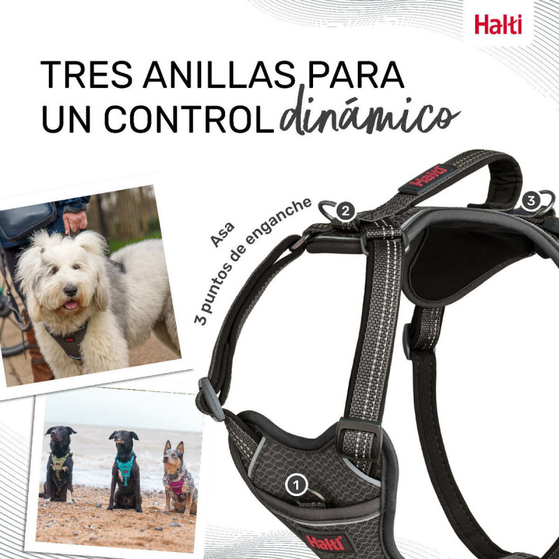 Arnês para Cães Company of Animals Cinzento XL 50-78 cm