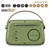 Radio Transistor Ledwood ALMA GREEN Verde 30 W