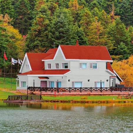 Vernice di Fondo Bondex Grigio Raso 5 L