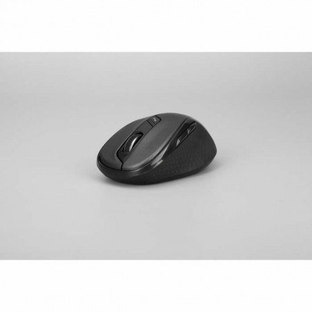 Souris Rapoo Noir 1600 dpi