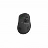 Souris Rapoo Noir 1600 dpi
