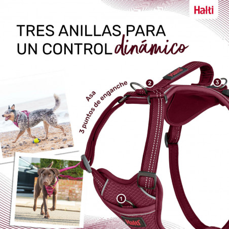 Arnês para Cães Company of Animals Castanho-avermelhado L 42-65 cm
