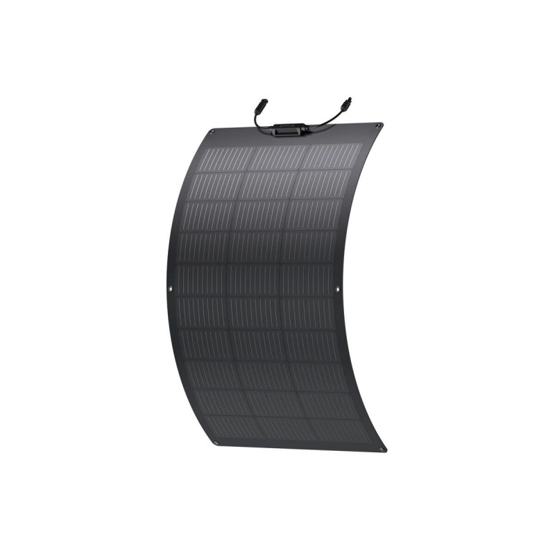 Pannello solare Ecoflow ZMS330 100 W
