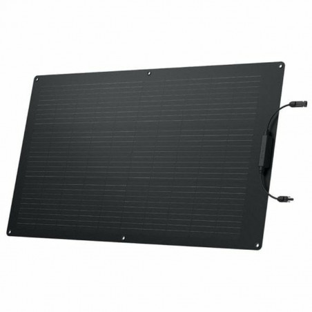 Pannello solare Ecoflow ZMS330 100 W