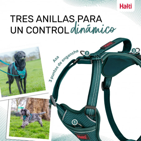 Dog Harness Company of Animals Turquoise S 28-42 cm