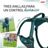 Arnês para Cães Company of Animals Turquesa S 28-42 cm