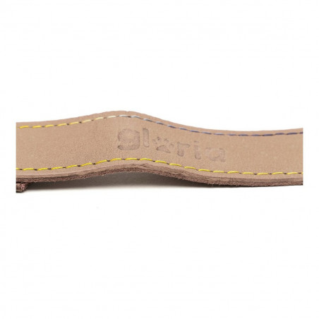 Correa para Perro Gloria Oasis Blanco 1.5 x 100 cm