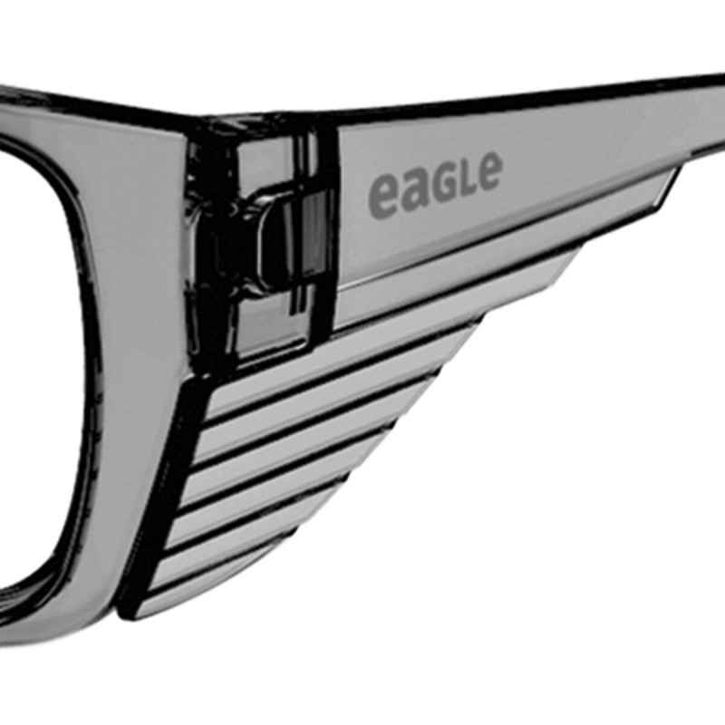 Schutzbrille Eagle Tracer Grau Durchsichtig Kunststoff + 2