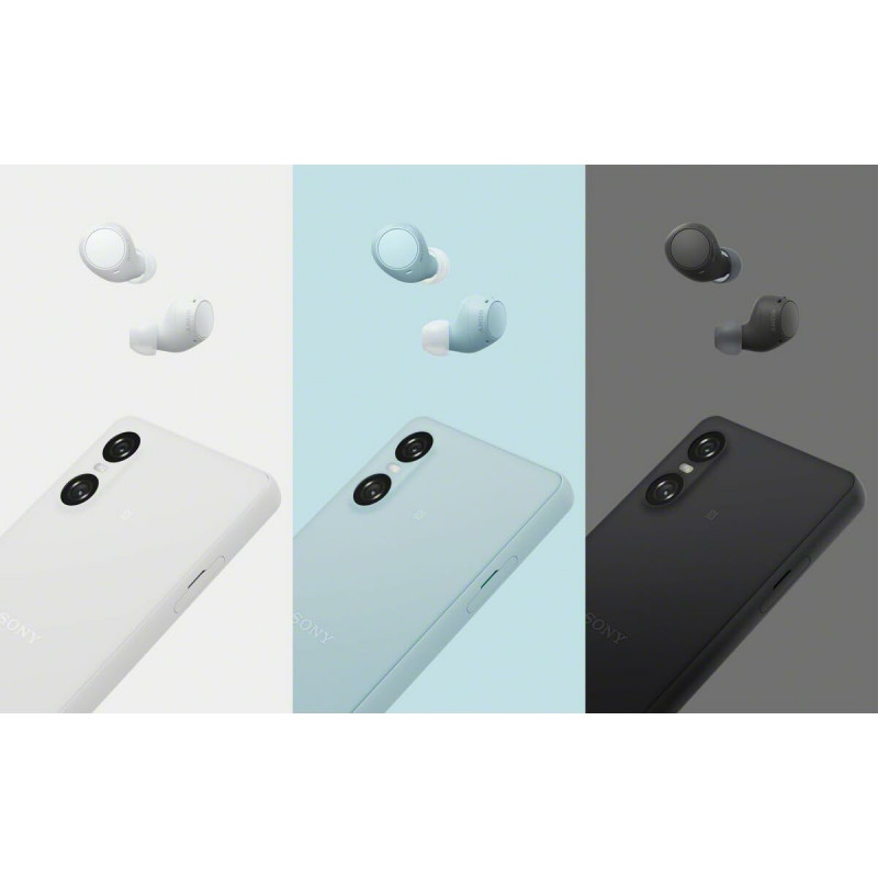 Écouteurs Sans Fil avec Étui de Charge Sony WF-C510 Noir