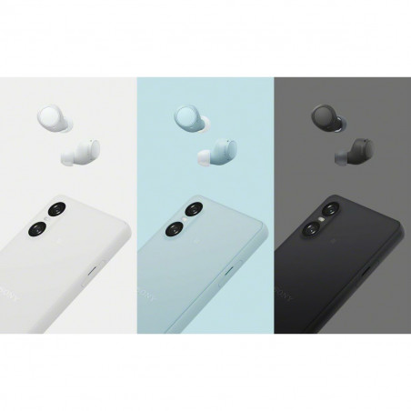 Écouteurs Sans Fil avec Étui de Charge Sony WF-C510 Noir