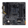 Placa Base Asus AMD AM4 AMD A520 AMD
