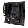 Motherboard Asus AMD AM4 AMD A520 AMD