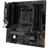 Scheda Madre Asus AMD AM4 AMD A520 AMD