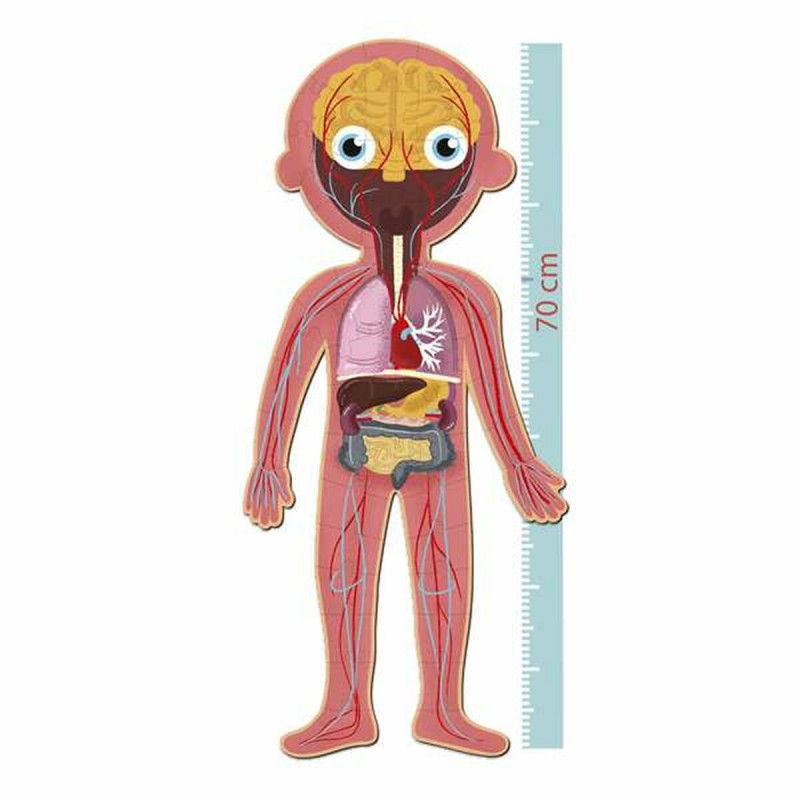 Puzzle Apli 19438 35 x 75 x 24 cm Human body 240 Pieces