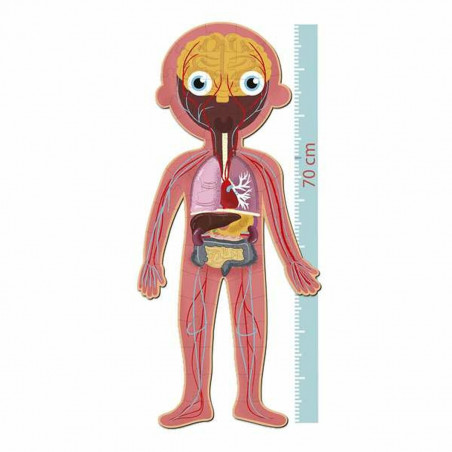 Puzzle Apli 19438 35 x 75 x 24 cm Corps humain 240 Pièces