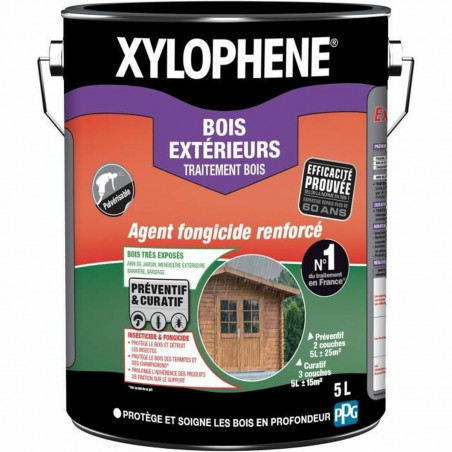 Primer Paint Xylophene White 5 L