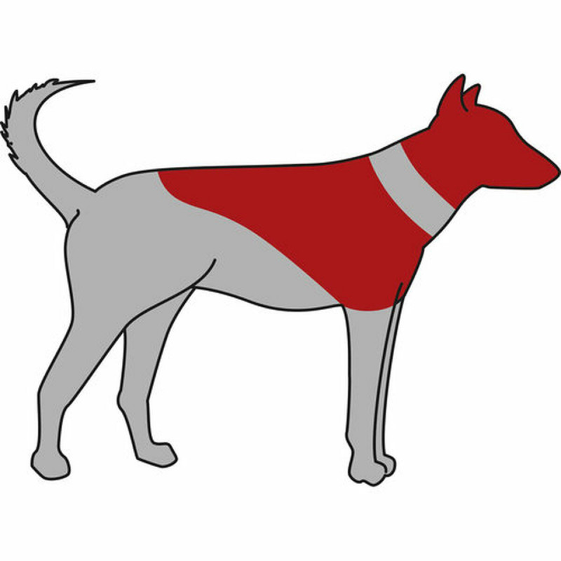 Colar protetor para cachorro Trixie Azul Insuflável (14-18 cm)