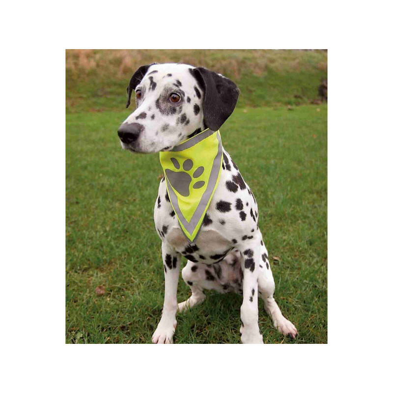 Collier réfléchissant pour animaux Trixie