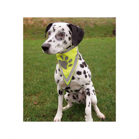 Collier réfléchissant pour animaux Trixie