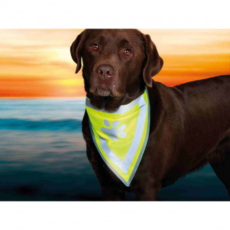 Bandana Catarifrangente per Animali Domestici Trixie