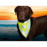 Reflective Pet Bandana Trixie