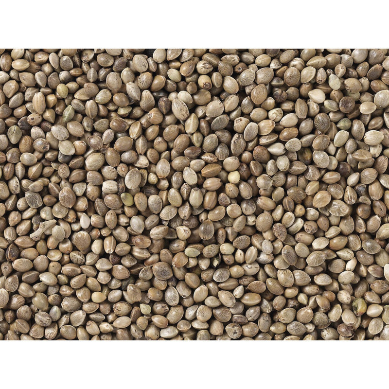 Comida para pássaros Deli Nature Premium