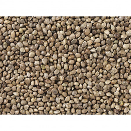 Mangime per uccelli Deli Nature Premium