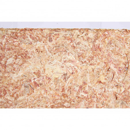 Substrate Trixie Moss