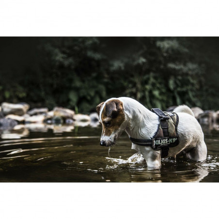 Dog Harness Julius K9 Power L/XL 2