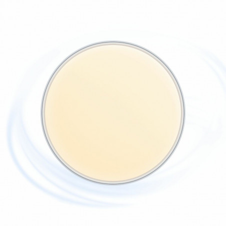 Ceiling Fan with Light KSIX Mistral 4000 Lm