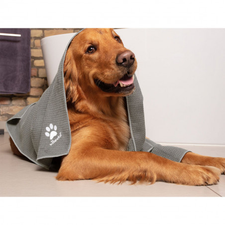 Asciugamani in Microfibra Vileda 172651 Grigio XL 65 x 100 cm