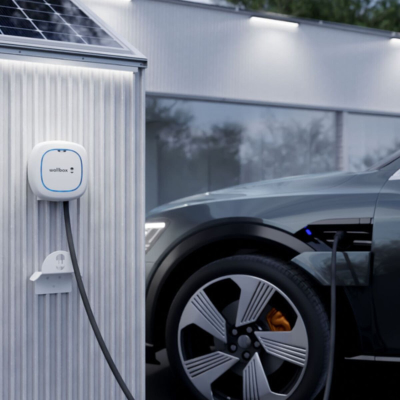 Enchufe de Alimentación Wallbox