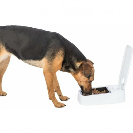 Pet feeding dish Trixie White Black Plastic 300 ml