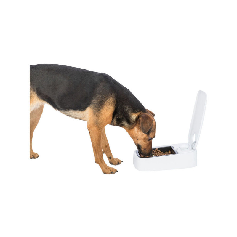 Pet feeding dish Trixie White Black Plastic 300 ml