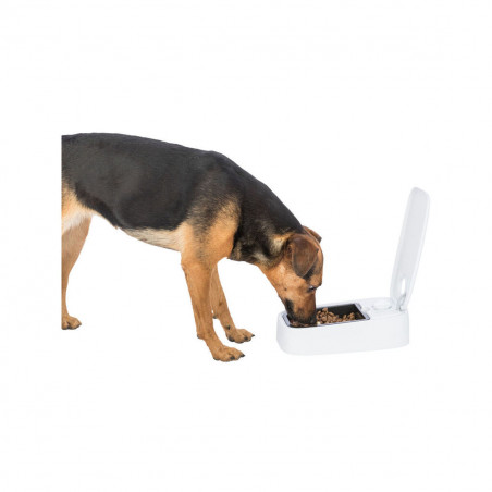 Pet feeding dish Trixie White Black Plastic 300 ml