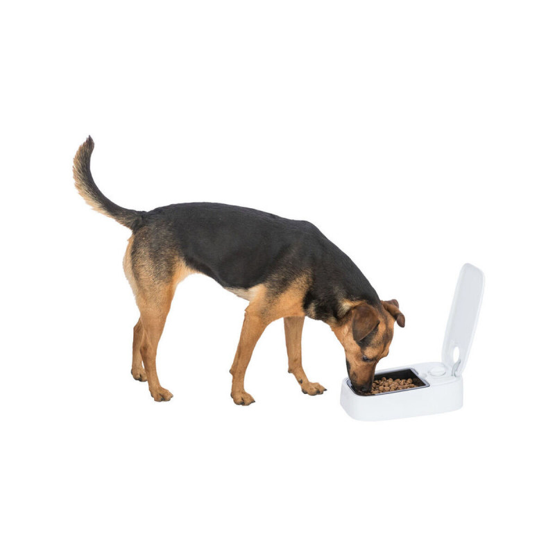 Pet feeding dish Trixie White Black Plastic 300 ml