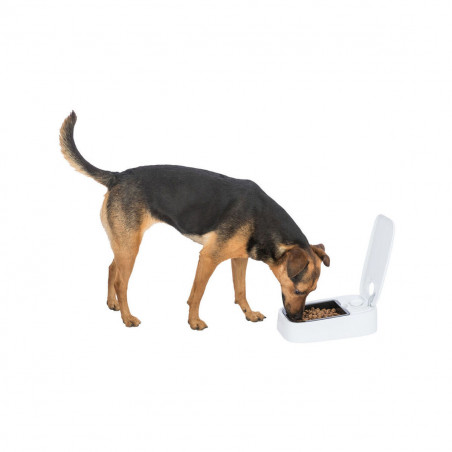 Pet feeding dish Trixie White Black Plastic 300 ml