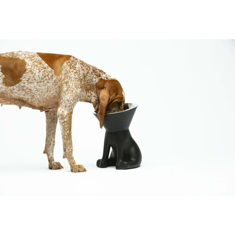 Mangeoire pour chiens United Pets Up Elisabeth Noir Acier inoxydable Polyéthylène 1 L