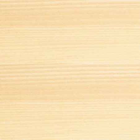 Peinture d'Apprêt Bondex Satiné 5 L Transparent