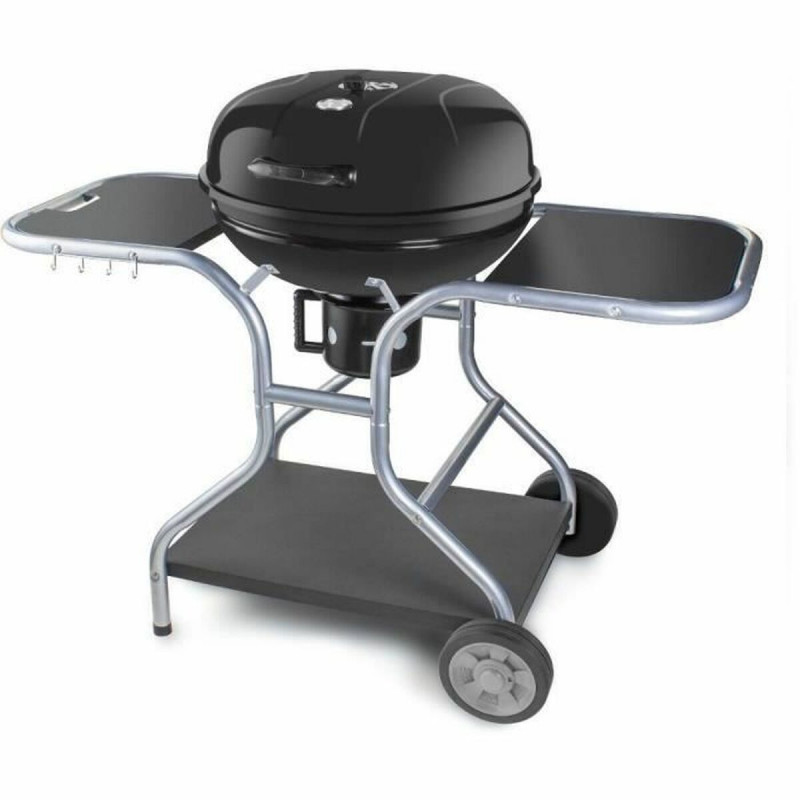 Barbecue Portable Fieldmann FZG 1014 Métal Acier