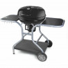 Barbecue Portable Fieldmann FZG 1014 Metal Steel