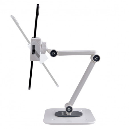 Suporte para Tablet Startech ADJ-TABLET-STAND-W Branco