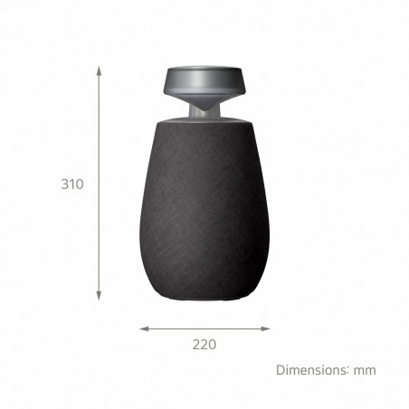 Altavoz Bluetooth Portátil LG XG2TBK Negro 5 W