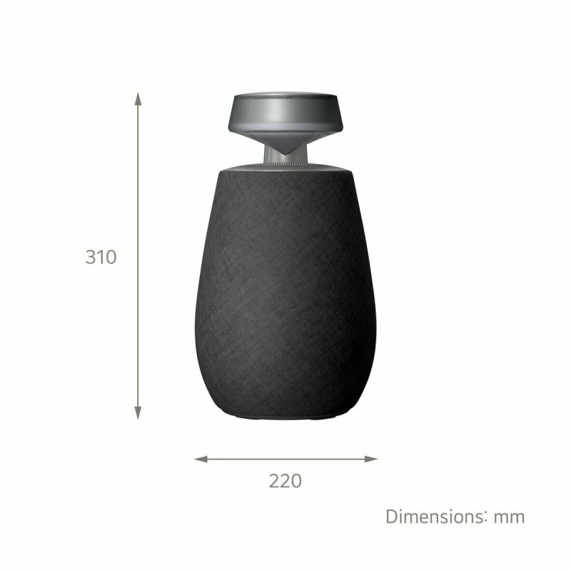 Tragbare Bluetooth-Lautsprecher LG XG2TBK Schwarz 5 W