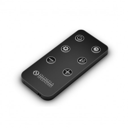 Digitaler Heizkörper Olimpia Splendid 99238 Schwarz 2000 W