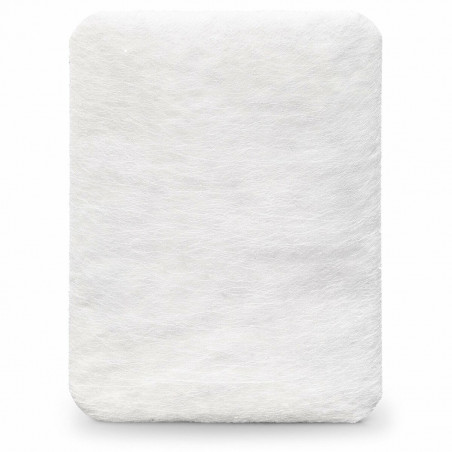 Filtre pour aspirateur Philips FC8010/02 Kit de repuestos