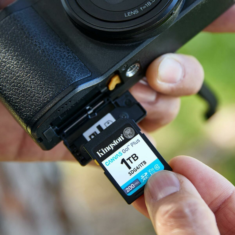 Scheda Di Memoria Micro SD con Adattatore Kingston SDG4 64 GB